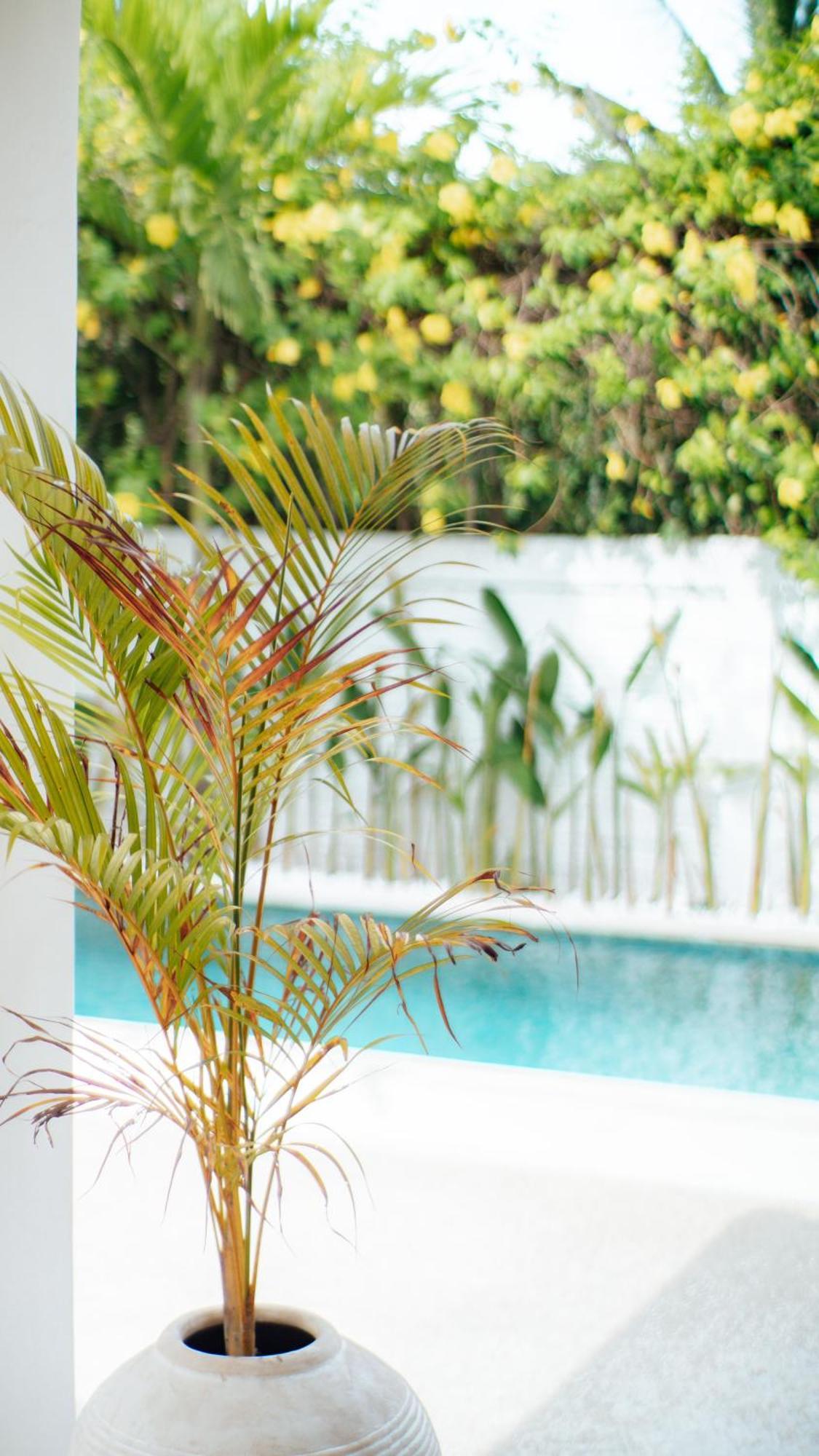 The White Bay Lombok Apartment Kuta  Exterior photo